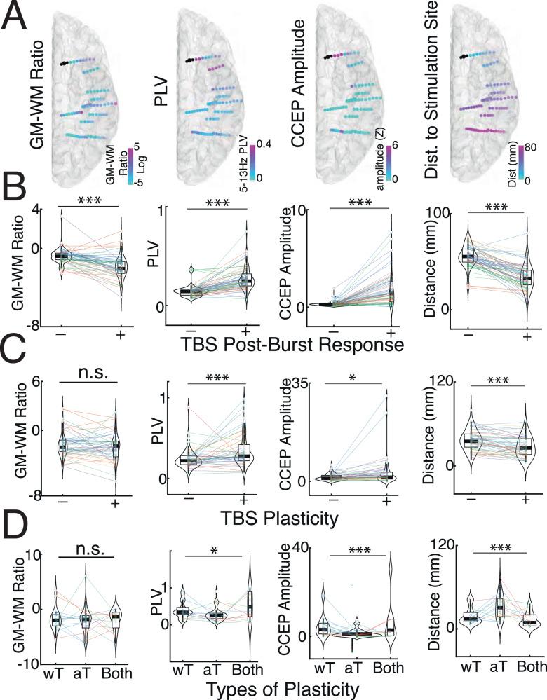 https://cdn.ncbi.nlm.nih.gov/pmc/blobs/7b34/11324911/d96047fe7d27/41467_2024_51443_Fig7_HTML.jpg