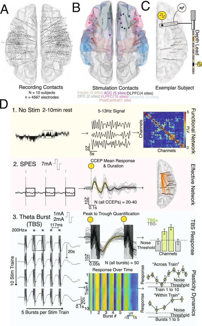 https://cdn.ncbi.nlm.nih.gov/pmc/blobs/7b34/11324911/e12d49a82feb/41467_2024_51443_Fig1_HTML.jpg
