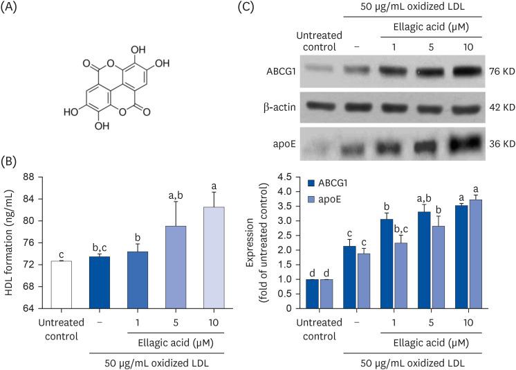 https://cdn.ncbi.nlm.nih.gov/pmc/blobs/7b35/10995779/24c0c3e488a2/nrp-18-194-g001.jpg