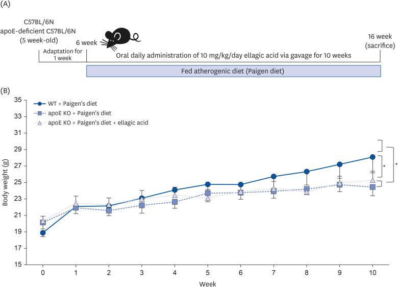 https://cdn.ncbi.nlm.nih.gov/pmc/blobs/7b35/10995779/daececffa978/nrp-18-194-g002.jpg