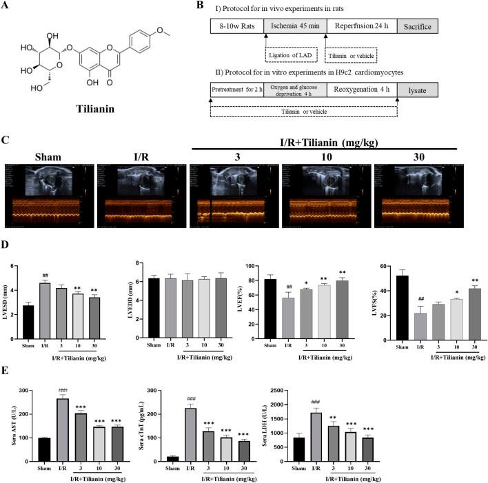 https://cdn.ncbi.nlm.nih.gov/pmc/blobs/7b35/11538317/516eca1bd74c/fphar-15-1423053-g001.jpg