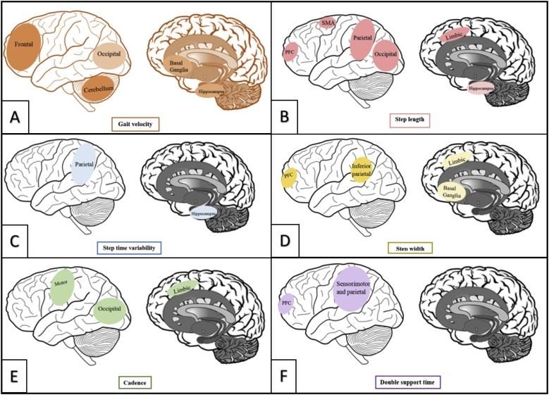 https://cdn.ncbi.nlm.nih.gov/pmc/blobs/7b38/6565843/65ec43ef5f39/gr5.jpg