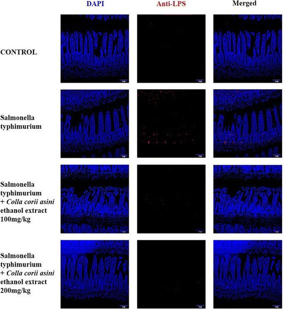 https://cdn.ncbi.nlm.nih.gov/pmc/blobs/7b39/5715514/a2eb5e4fa0ef/12906_2017_2020_Fig5_HTML.jpg