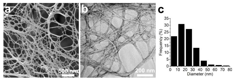 https://cdn.ncbi.nlm.nih.gov/pmc/blobs/7b39/7919639/b45a085240ee/nanomaterials-11-00490-g002.jpg