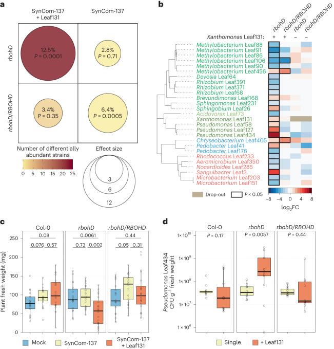 https://cdn.ncbi.nlm.nih.gov/pmc/blobs/7b3b/10769872/1e81744dd9be/41564_2023_1555_Fig1_HTML.jpg