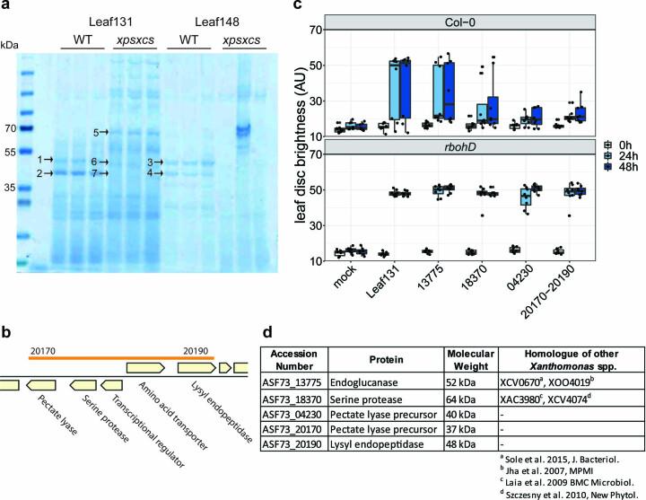 https://cdn.ncbi.nlm.nih.gov/pmc/blobs/7b3b/10769872/a6f1e4fe6fb5/41564_2023_1555_Fig10_ESM.jpg