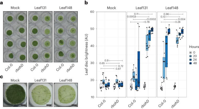 https://cdn.ncbi.nlm.nih.gov/pmc/blobs/7b3b/10769872/f17d6291be5d/41564_2023_1555_Fig2_HTML.jpg