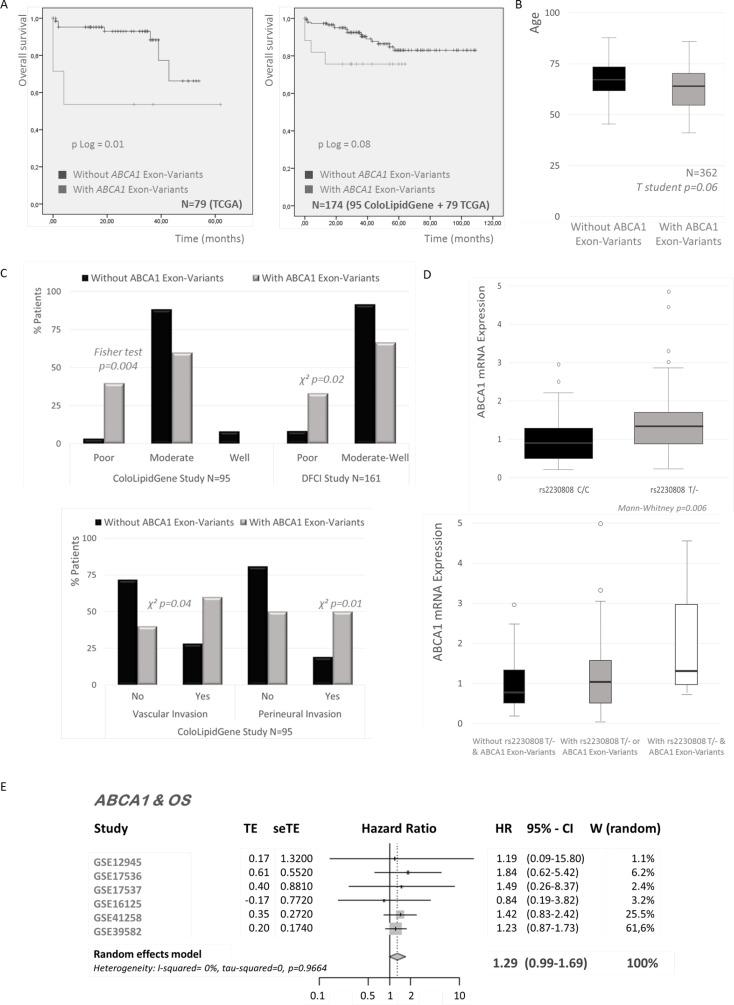 https://cdn.ncbi.nlm.nih.gov/pmc/blobs/7b3e/5814184/605d5393ca3d/oncotarget-09-5919-g004.jpg