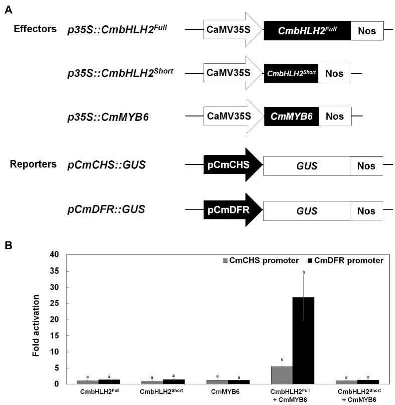 https://cdn.ncbi.nlm.nih.gov/pmc/blobs/7b3f/8222801/f61ad238ffe2/fpls-12-669315-g007.jpg