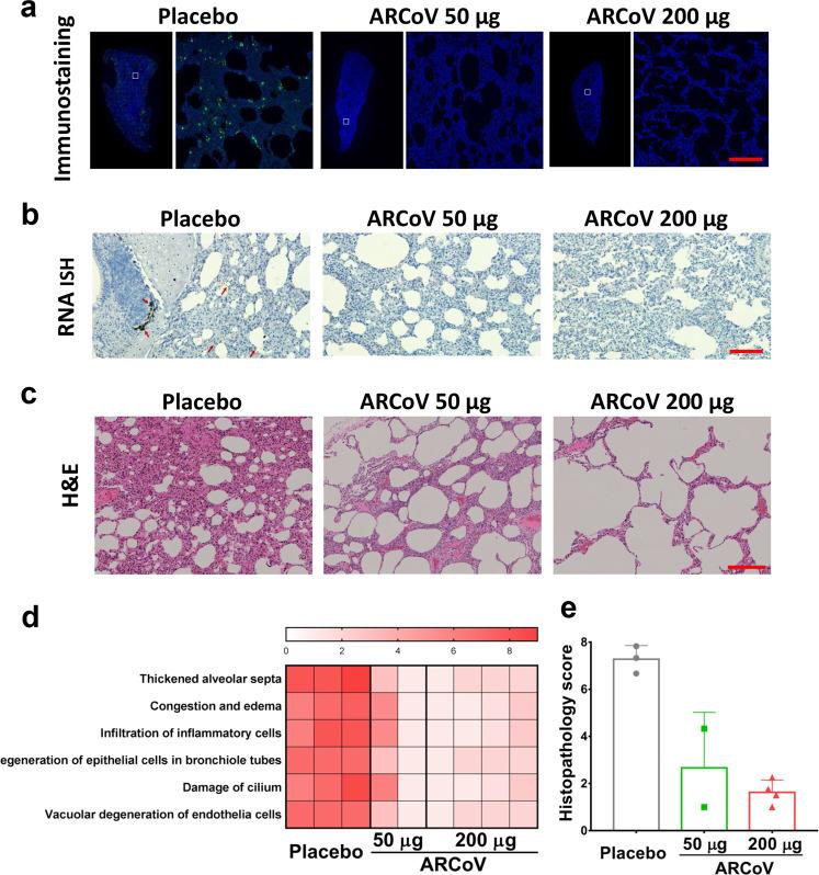 https://cdn.ncbi.nlm.nih.gov/pmc/blobs/7b3f/8709864/8b32aa7179ef/41392_2021_861_Fig3_HTML.jpg