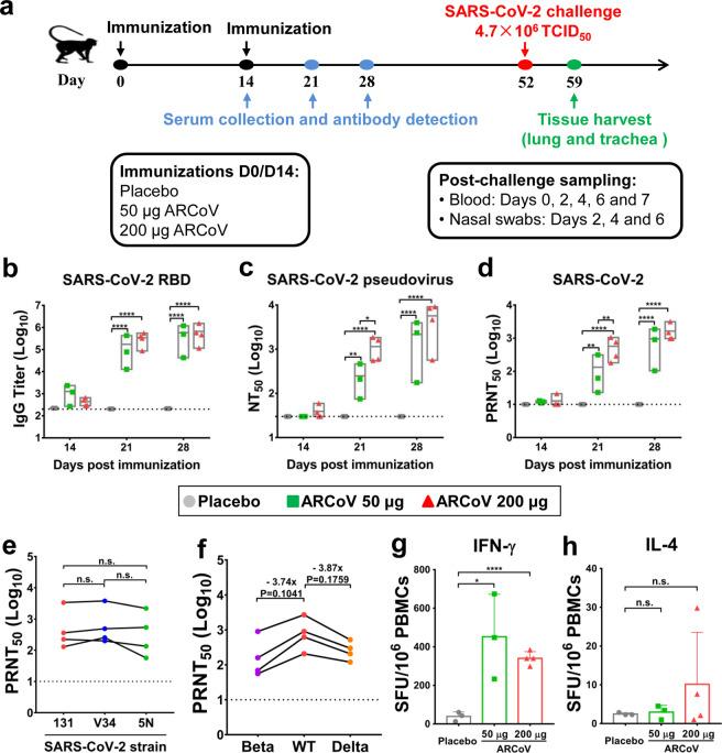 https://cdn.ncbi.nlm.nih.gov/pmc/blobs/7b3f/8709864/8f3720feabc7/41392_2021_861_Fig1_HTML.jpg