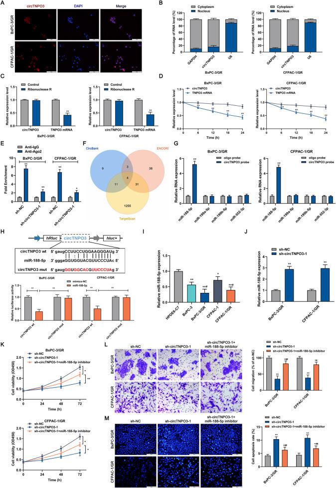 https://cdn.ncbi.nlm.nih.gov/pmc/blobs/7b40/12350284/4037b29dee2d/fphar-16-1613560-g007.jpg