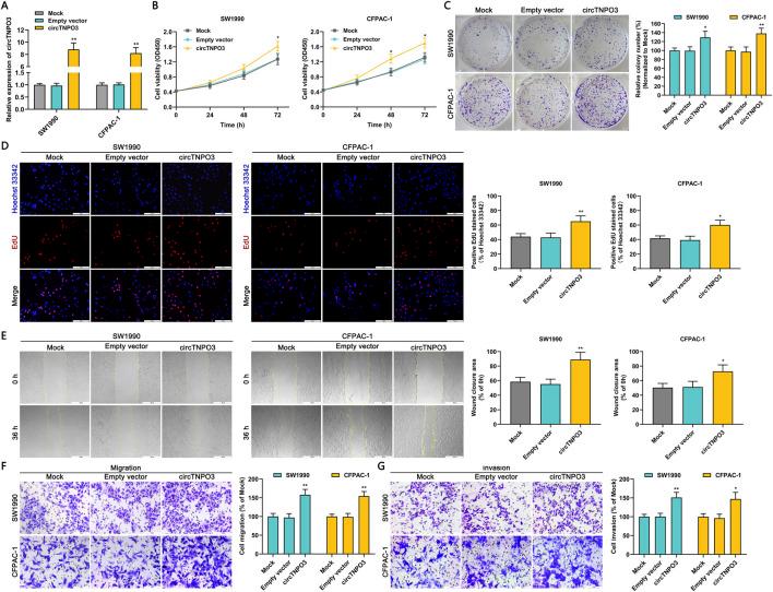 https://cdn.ncbi.nlm.nih.gov/pmc/blobs/7b40/12350284/55af17c8748f/fphar-16-1613560-g005.jpg