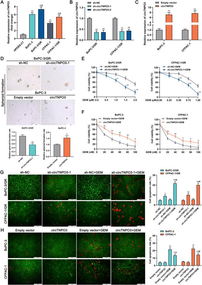 https://cdn.ncbi.nlm.nih.gov/pmc/blobs/7b40/12350284/b7a730bc6e41/fphar-16-1613560-g006.jpg