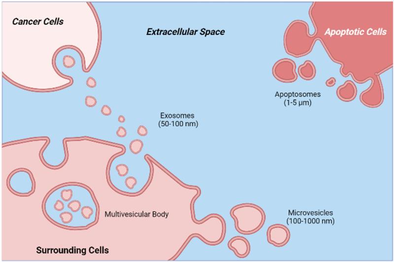 https://cdn.ncbi.nlm.nih.gov/pmc/blobs/7b40/9830000/9b96617cdeee/10.1177_15330338221149266-fig1.jpg