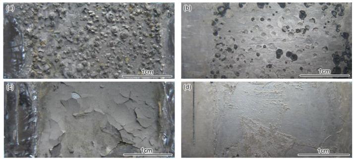 https://cdn.ncbi.nlm.nih.gov/pmc/blobs/7b41/5456699/66cd676f075b/materials-09-00200-g002a.jpg