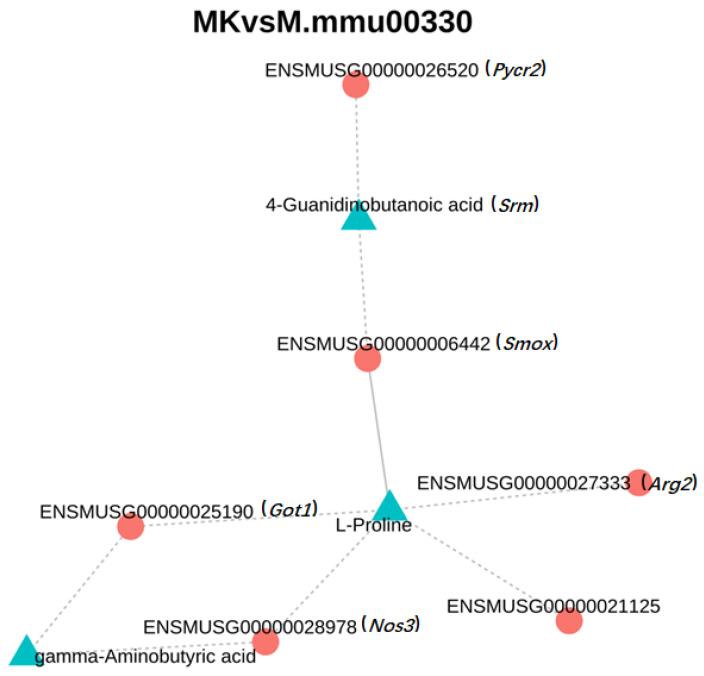 https://cdn.ncbi.nlm.nih.gov/pmc/blobs/7b42/12071262/84902336c778/foods-14-01557-g008.jpg