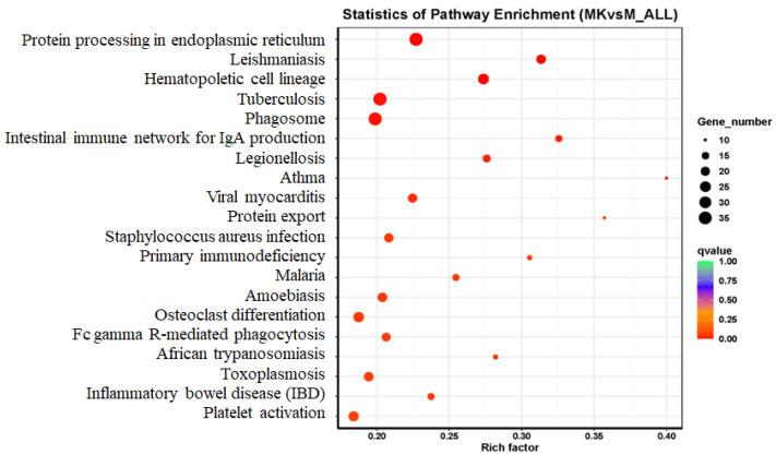 https://cdn.ncbi.nlm.nih.gov/pmc/blobs/7b42/12071262/ca6707a9d7cb/foods-14-01557-g003.jpg