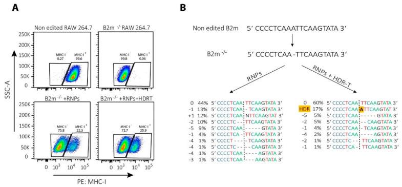 https://cdn.ncbi.nlm.nih.gov/pmc/blobs/7b42/8835901/cb105c9afc66/ijms-23-01689-g003.jpg