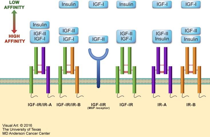 https://cdn.ncbi.nlm.nih.gov/pmc/blobs/7b44/5352101/4c5e4b011045/oncotarget-08-1814-g001.jpg