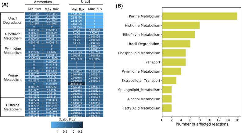 https://cdn.ncbi.nlm.nih.gov/pmc/blobs/7b44/7530994/598d3b3e00be/41598_2020_73253_Fig7_HTML.jpg