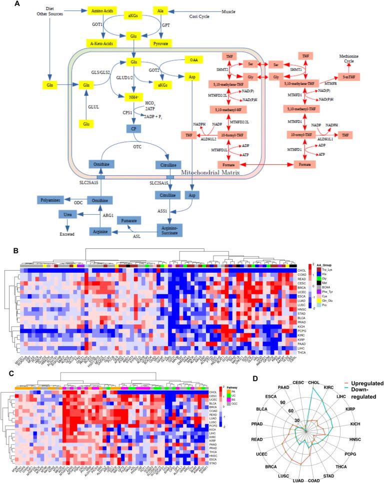 https://cdn.ncbi.nlm.nih.gov/pmc/blobs/7b44/8249409/ed6291bbd739/41598_2021_93003_Fig4_HTML.jpg
