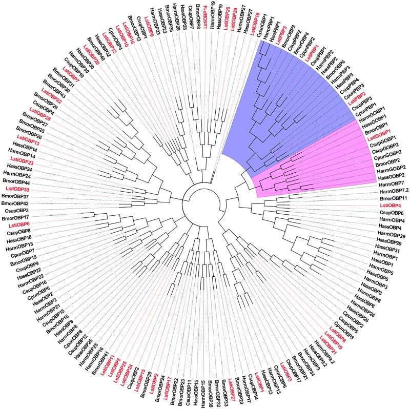 https://cdn.ncbi.nlm.nih.gov/pmc/blobs/7b46/5396883/4762e3c6afdc/pone.0174036.g008.jpg