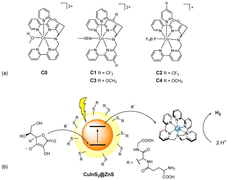 https://cdn.ncbi.nlm.nih.gov/pmc/blobs/7b46/9735784/5c94119bb8f9/molecules-27-08277-g001.jpg