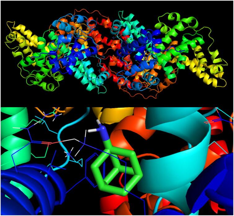 https://cdn.ncbi.nlm.nih.gov/pmc/blobs/7b47/9639497/72b1dc140d40/IENZ_A_2137161_F0007_C.jpg