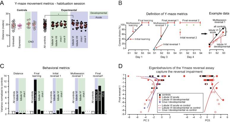 https://cdn.ncbi.nlm.nih.gov/pmc/blobs/7b4e/6195348/45e861f55fb5/elife-36401-fig5.jpg
