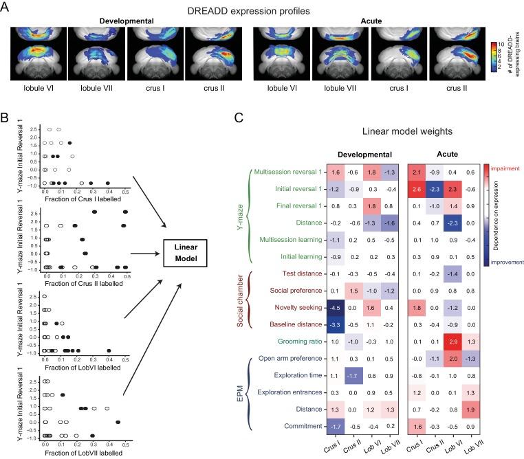 https://cdn.ncbi.nlm.nih.gov/pmc/blobs/7b4e/6195348/8fc29eb70fef/elife-36401-fig10.jpg