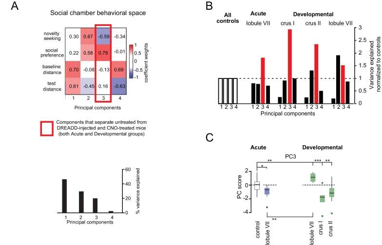 https://cdn.ncbi.nlm.nih.gov/pmc/blobs/7b4e/6195348/a3120492cfb7/elife-36401-fig6-figsupp2.jpg
