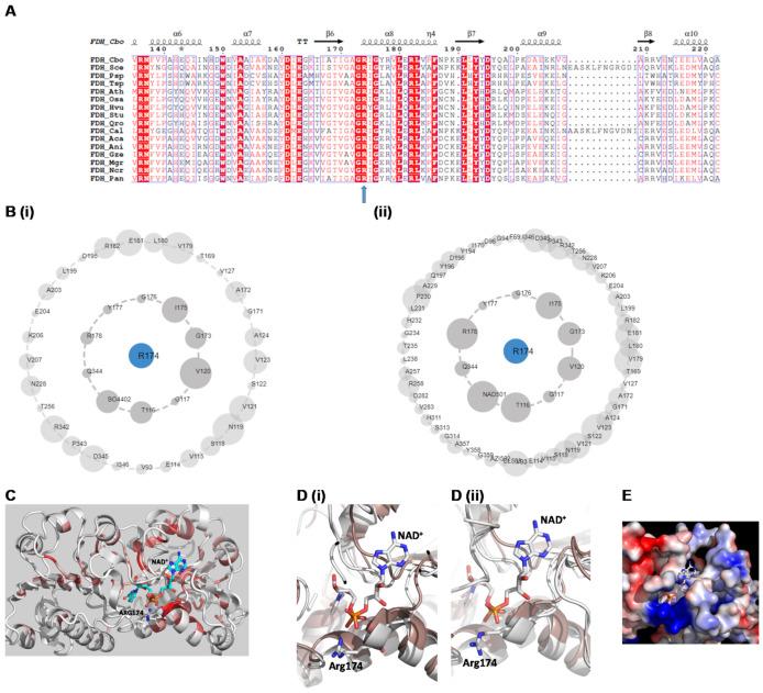 https://cdn.ncbi.nlm.nih.gov/pmc/blobs/7b50/7956174/017a3d8e0f64/molecules-26-01222-g002.jpg