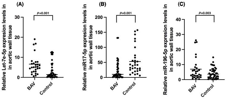 https://cdn.ncbi.nlm.nih.gov/pmc/blobs/7b53/11765635/37d67d7e69a3/ijms-26-00779-g001.jpg
