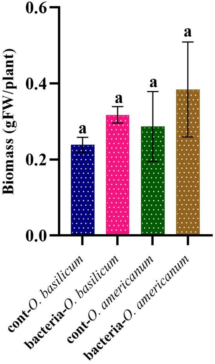 https://cdn.ncbi.nlm.nih.gov/pmc/blobs/7b53/12335100/1b22f63653c9/12870_2025_7082_Fig2_HTML.jpg