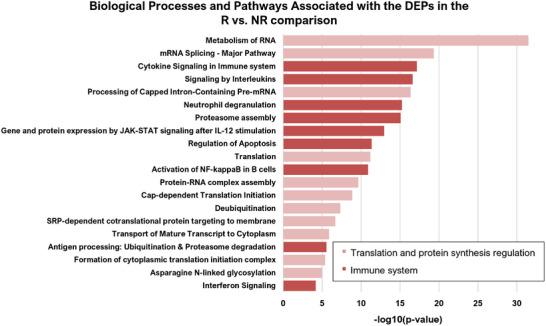 https://cdn.ncbi.nlm.nih.gov/pmc/blobs/7b53/12381911/ac5cabc9629f/PMIC-25--g003.jpg