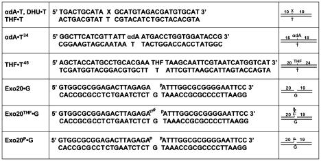 https://cdn.ncbi.nlm.nih.gov/pmc/blobs/7b55/2923195/c027d342044b/pone.0012241.g001.jpg