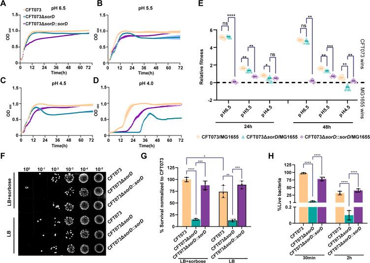 https://cdn.ncbi.nlm.nih.gov/pmc/blobs/7b56/12186808/1f3b559a8bc0/IDR-18-3071-g0001.jpg