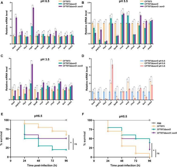 https://cdn.ncbi.nlm.nih.gov/pmc/blobs/7b56/12186808/441c7241acaf/IDR-18-3071-g0002.jpg