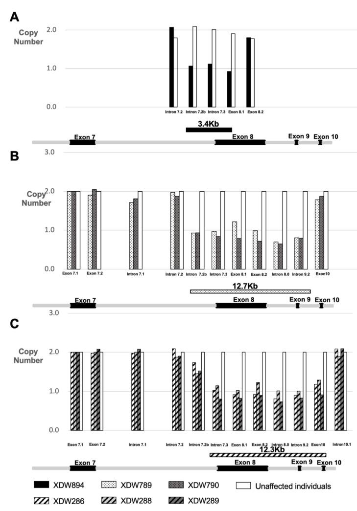 https://cdn.ncbi.nlm.nih.gov/pmc/blobs/7b56/7564609/8eea746e5c5f/genes-11-00992-g003.jpg