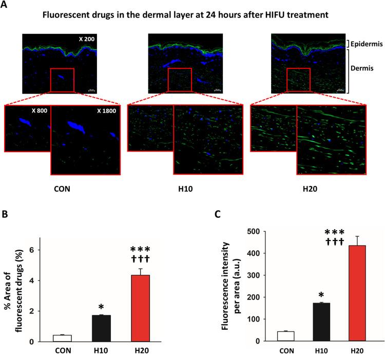 https://cdn.ncbi.nlm.nih.gov/pmc/blobs/7b59/11283244/024c574ded7c/CCID-17-1711-g0002.jpg