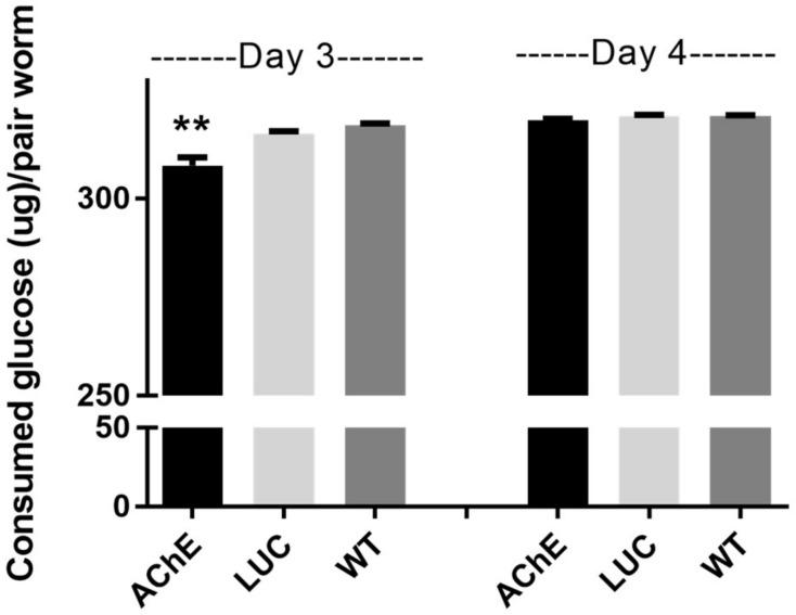 https://cdn.ncbi.nlm.nih.gov/pmc/blobs/7b59/6121427/d76e64b9e148/ijms-19-02426-g004.jpg