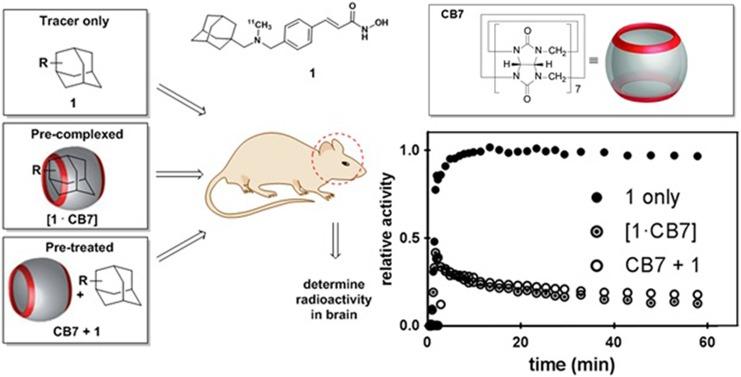 https://cdn.ncbi.nlm.nih.gov/pmc/blobs/7b59/6204619/768162394f5d/10.1177_1536012118799838-fig2.jpg