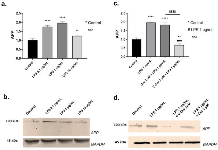 https://cdn.ncbi.nlm.nih.gov/pmc/blobs/7b5b/11720140/ced1d371990f/ijms-26-00282-g001.jpg