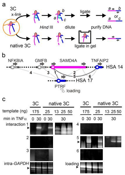 https://cdn.ncbi.nlm.nih.gov/pmc/blobs/7b5c/3324775/1e9bfa48feb8/ukmss-36353-f0004.jpg