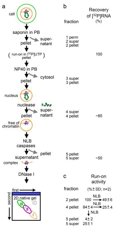 https://cdn.ncbi.nlm.nih.gov/pmc/blobs/7b5c/3324775/7fefe9c46027/ukmss-36353-f0001.jpg