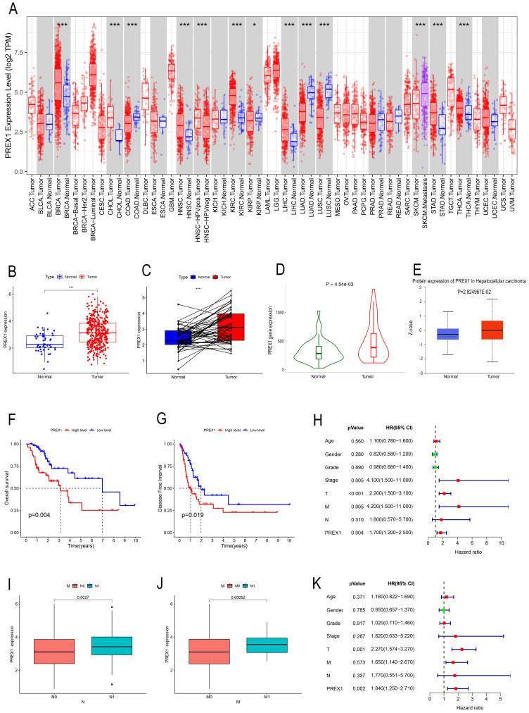 https://cdn.ncbi.nlm.nih.gov/pmc/blobs/7b5e/11186429/20fcfa637d59/ijmsv21p1559g001.jpg