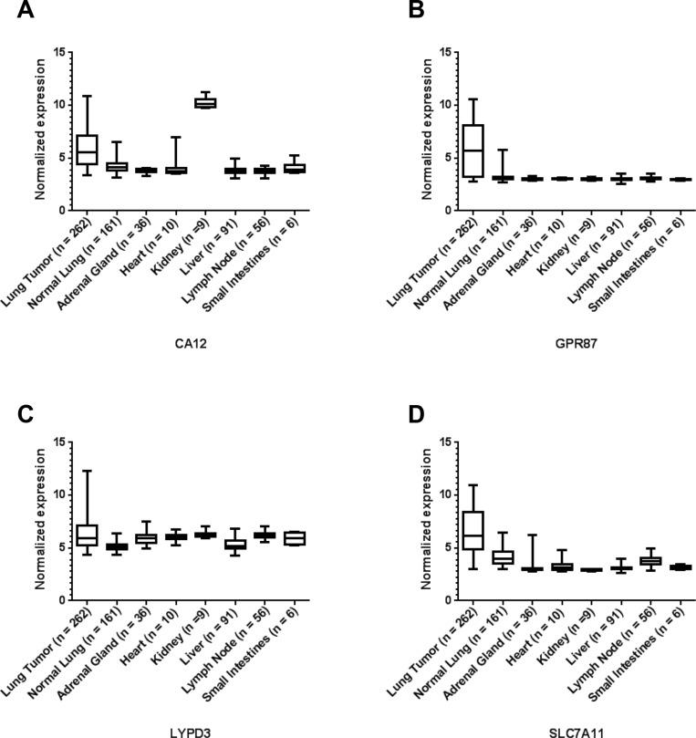 https://cdn.ncbi.nlm.nih.gov/pmc/blobs/7b5e/5768334/7872e5e288a6/oncotarget-08-113373-g001.jpg