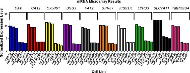 https://cdn.ncbi.nlm.nih.gov/pmc/blobs/7b5e/5768334/9c3c13f8c727/oncotarget-08-113373-g005.jpg
