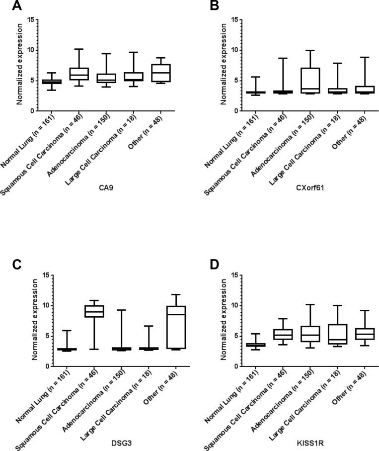 https://cdn.ncbi.nlm.nih.gov/pmc/blobs/7b5e/5768334/ae3c8e8531cf/oncotarget-08-113373-g002.jpg